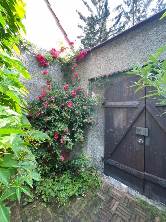 Decadent Art Club Apartment Cesky Krumlov Exterior photo